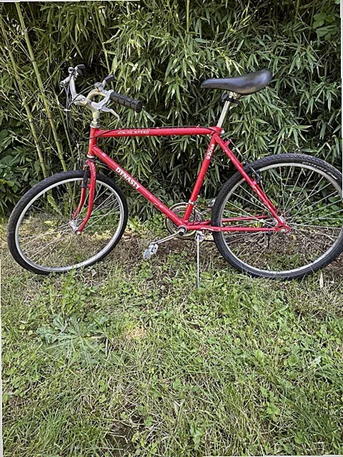 Free Spirit Dynasty 930se Red Road Bike 27in 10-Speed Steel Cruiser Bar