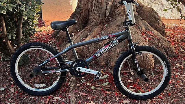 Mongoose Ravage Shut Op & Ride 20” BMX Bike Gray